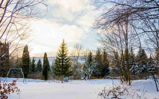 Орловский пансионат «ЗиЛ» может избежать банкротства через мировое соглашение