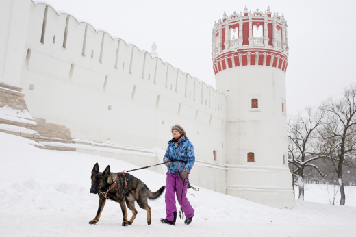 Леус: Воскресенье станет самым холодным днем в Москве с начала зимы