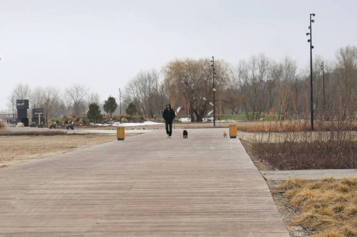 39 млн рублей потратят на уход за растениями на Петровской набережной