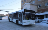 Новые автобусы вышли на один из воронежских маршрутов