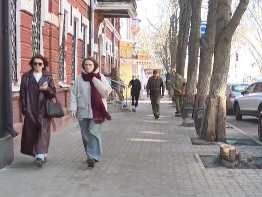 Власти пообещали подлечить оставшиеся каштаны в центре Воронежа