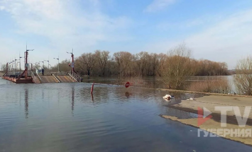 Труп человека нашли на затопленном мосту в Воронеже