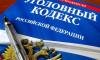 В Москве женщине предъявлено обвинение в причинение смерти по неосторожности своему малолетнему сыну