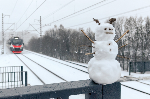 Синоптик Позднякова: Москвичи без снега на Новый год не останутся