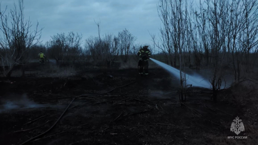 Итоги недели с 16 по 22 марта