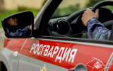 В Крыму и Севастополе сотрудники Росгвардии за прошедшую неделю пресекли ряд правонарушений