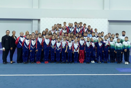 Воронежские ушуисты победили на Чемпионате и Первенстве России