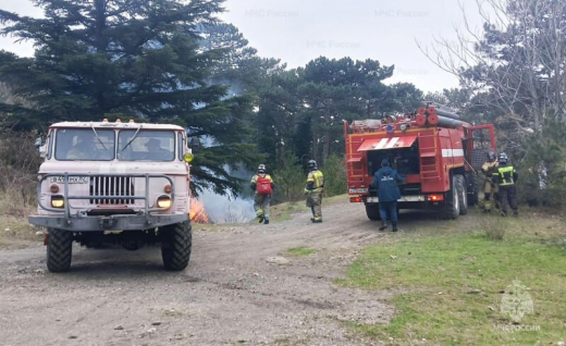 В Крыму сотрудники МЧС России провели учения по ликвидации лесных пожаров в преддверии пожароопасного сезона - 2026