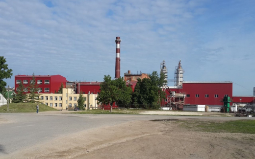 Липецкий Лебедянский сахарный завод за год лишился более половины прибыли