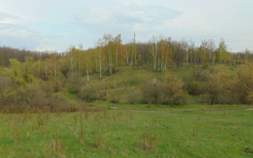 Воронежский Ботанический сад выиграл грант на сохранение экосистемы и создание экотропы