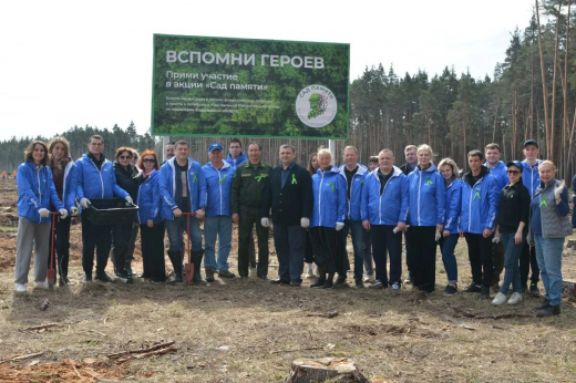 Под Воронежем высадили 15 тысяч сосен в память о героях Великой Отечественной войны и бойцах СВО