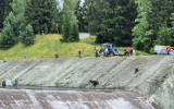 В подмосковной Истре два лося попали в ловушку на водохранилище