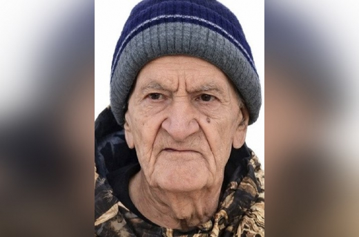 Воронежский пенсионер пошёл гулять с собакой и пропал