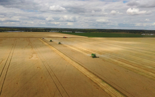 Сельхозпроизводство в Липецкой области в 2025 году выросло на 13%