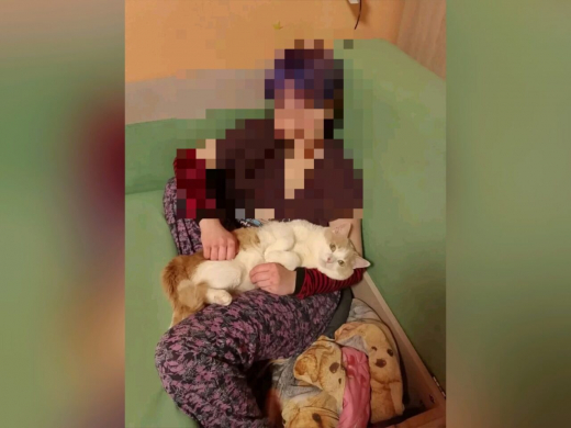 Пропавшую в Иваново девочку нашли спустя 3 недели в Воронеже