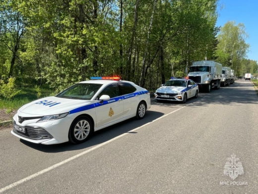 Военной автомобильной инспекции МЧС России 30 лет