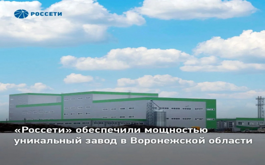 «Россети» подключили к сетям первый в России завод лимонной кислоты в Воронежской области