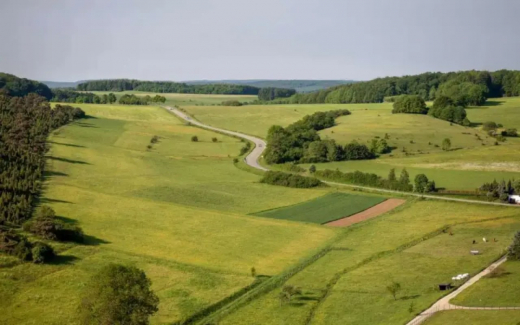 Минсельхоз предложил приравнять мелиорируемые сельхозземли к особо ценным