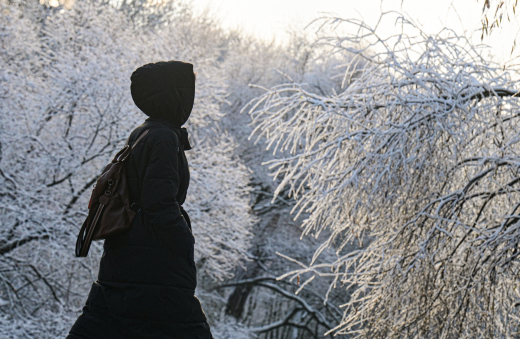 Синоптик Вильфанд: Москвичей ждут морозы до минус 9 градусов и снегопад