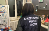 В Воронеже мать, проломившую голову годовалому сыну за плач, отправили в колонию