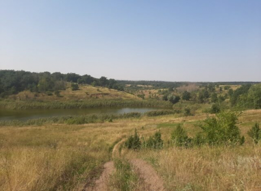 Какие ограничения действуют в новом воронежском заказнике, рассказали экологи