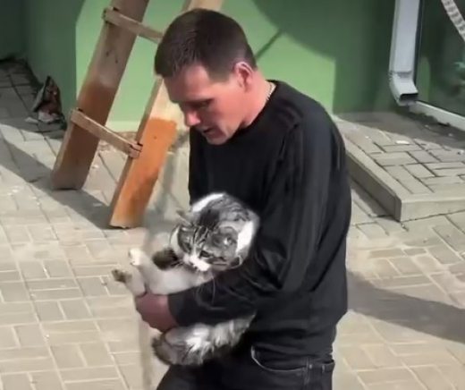 Операцию по спасению кота с упавшего балкона в Воронеже сняли на видео