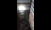 Канализационные нечистоты два года отравляют воздух в подъезде пятиэтажки в Воронеже