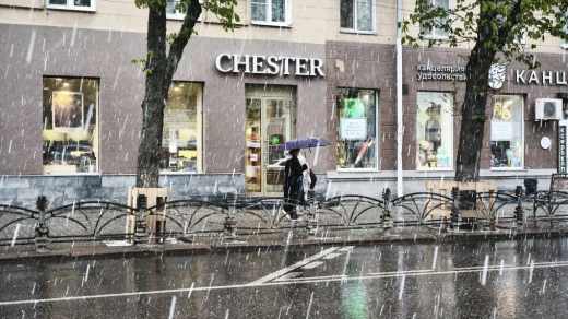 Солнце, снег и град: погода преподнесла воронежцам сюрприз в последний день апреля