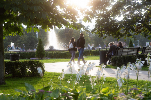 В конце мая начнется пик аллергии в Москве