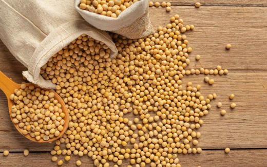 Рынок сои перегревается: экспорт в Иран и Китай снижает запасы и разгоняет цены