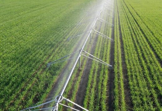 Завод ирригационных установок построят под Воронежем за 2 млрд рублей