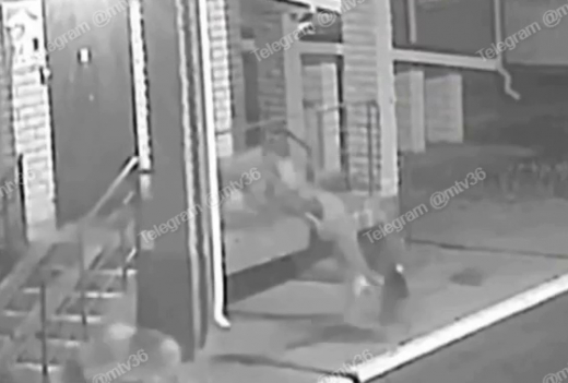 Стая собак убивает домашних животных в ЖК под Воронежем