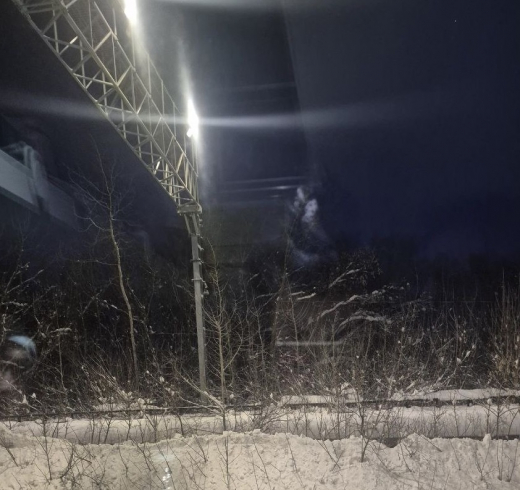 «Поезд стоит почти сутки»: концерт Татьяны Овсиенко отменили в Воронеже