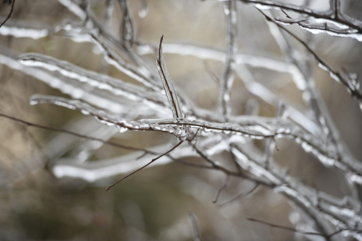 Аномальные морозы не отступят в Воронежской области до конца недели