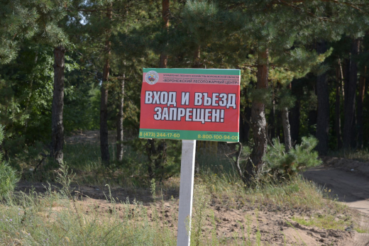 Какие штрафы грозят воронежцам за костёр или мангал в неположенном месте