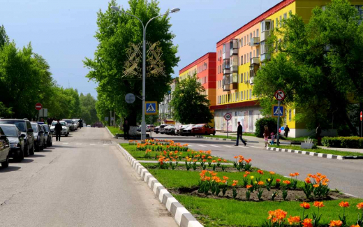 Бизнес сможет заработать более 200 млн рублей на благоустройстве Нововоронежа