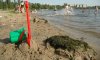 Воронежцев начнут штрафовать за купание в запрещённых местах
