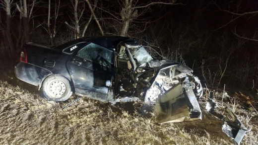 Молодые воронежцы на «Ладе Приоре» влетели в дерево