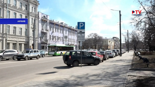 В работе платных парковок Воронежа обнаружили нарушения