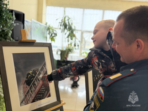Фотовыставка, посвященная пожарным, проходит в подмосковной Лобне