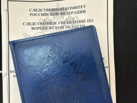 В Воронеже местный житель предстал перед судом за совершение преступления экстремистской направленности