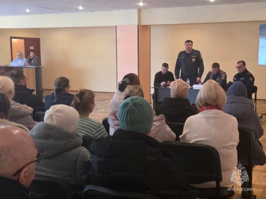 Обеспечение пожарной безопасности в Балашихе: диалог власти и жителей