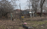 Кладбище под окнами: откуда взялись забытые могилы посреди частного сектора в Воронеже