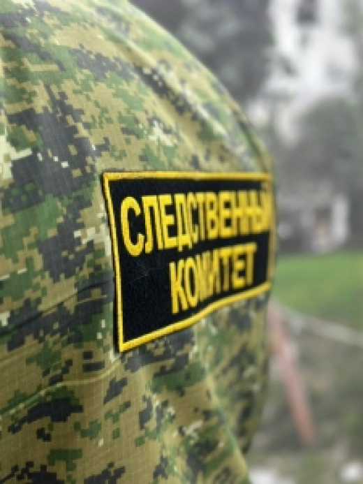 Следствие ходатайствует об аресте обвиняемого в хулиганстве и применении насилия в отношении представителя власти на северо-востоке Москвы