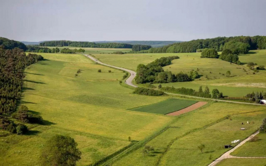 Мораторий на приватизацию сельхозземель до 2050 года введен в Тамбовской области