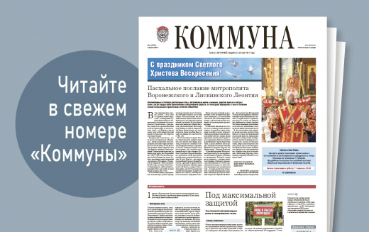 Рекорд по количеству яиц и штрафы за костры в Воронежской области: что почитать в свежем номере «Коммуны»
