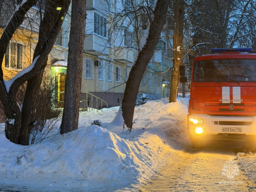 На пожаре в Воскресенске спасены жильцы многоквартирного дома