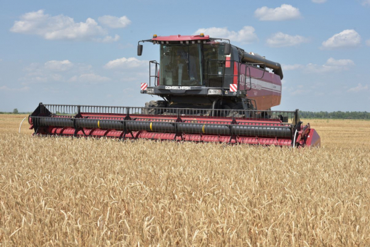 Продукции на триллион рублей и дефицит кадров: итоги работы воронежского АПК за 2025 год