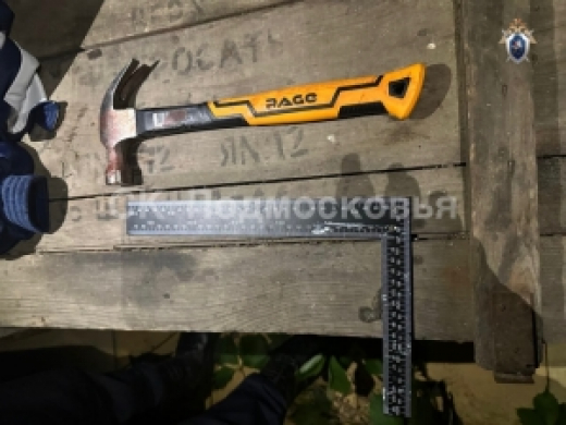 В Домодедово задержан подросток, подозреваемый в нападении на двух девочек