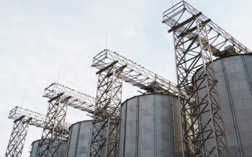 «Русагро» вывела на проектную мощность производство полножирной сои в Тамбовской области